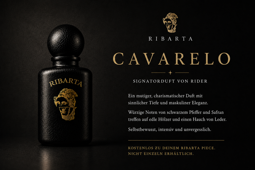 THE RIDER