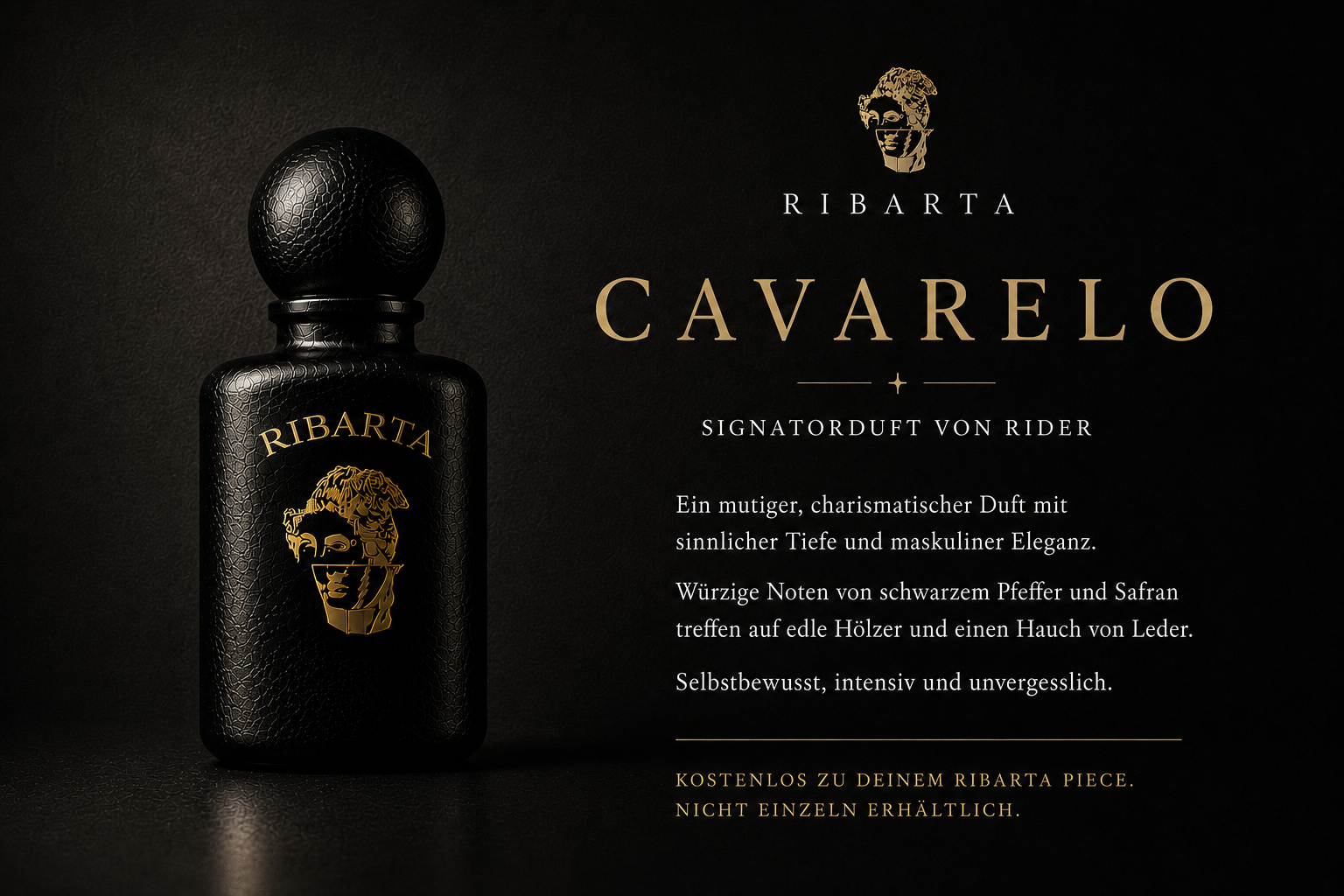 THE RIDER